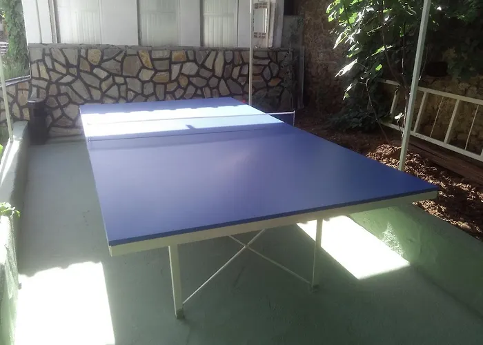 Nefis Oeluedeniz 3* Cedit